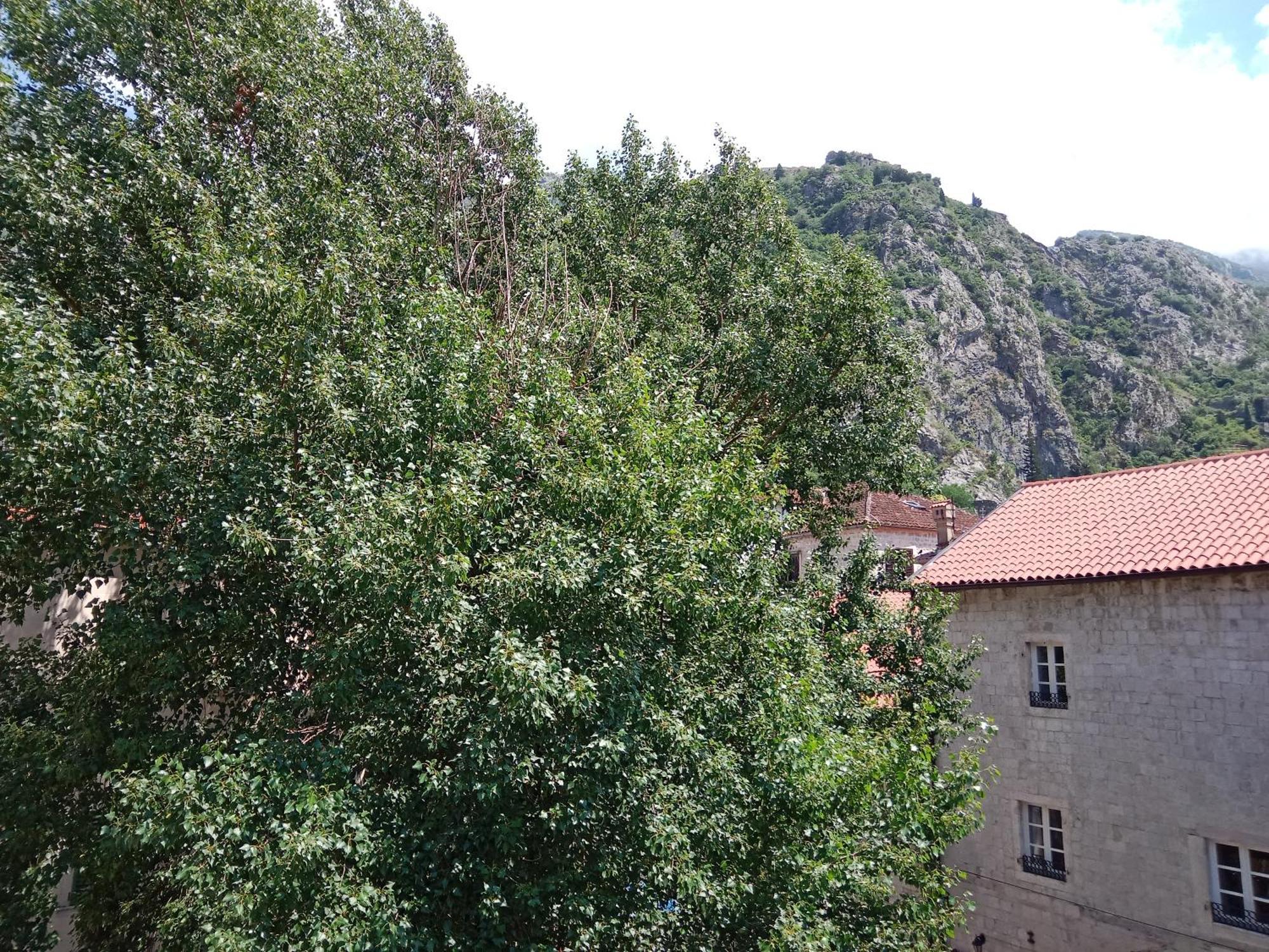 Centar Starog Grada Apartment Kotor Ngoại thất bức ảnh