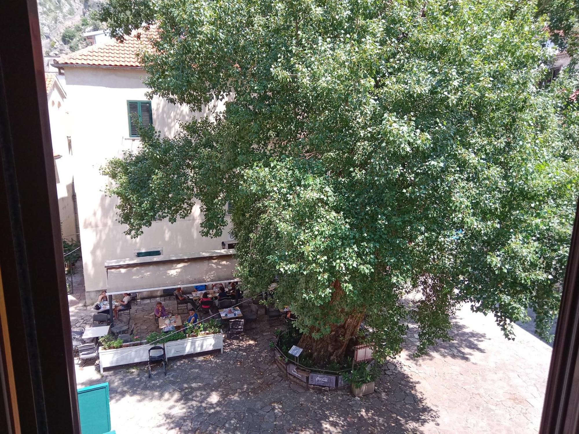 Centar Starog Grada Apartment Kotor Ngoại thất bức ảnh